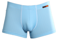 Boxer azzurro mare